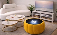 Decorative & Accessories
